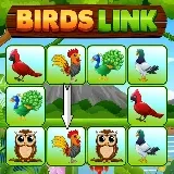 Birds Link