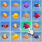 Fishing Puzzles
