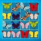 Кралят на Маджонг